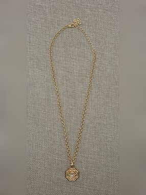 Delicate Gold Chain Mother of Pearl Necklace